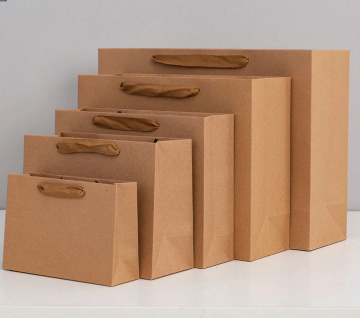 Shopping Paper Bag